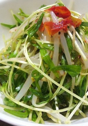空芯菜の芽ともやしのサラダ-レシピのメイン写真