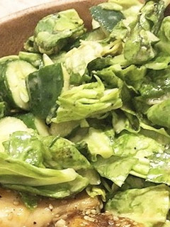 3分で!きゅうりとキャベツの味噌和え-レシピのメイン写真