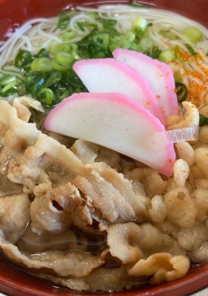 あっさりお出汁の煮麺-レシピのメイン写真