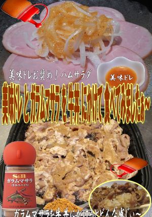 美味ドレとガラムマサラで牛丼-レシピのメイン写真
