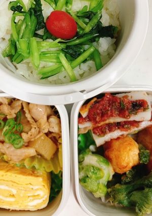 お弁当…ダンナ編13★-レシピのメイン写真