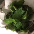 ミントのジェノベーゼ
