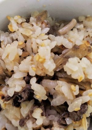 生姜を効かせた☆牛ごぼうの混ぜご飯-レシピのメイン写真