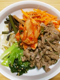 プルコギ・ナムル丼-レシピのメイン写真