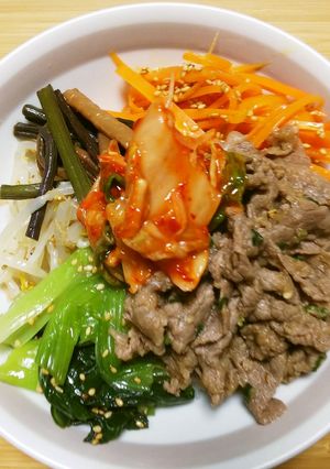 プルコギ・ナムル丼-レシピのメイン写真