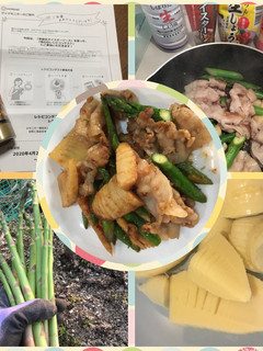 春の野菜炒め-レシピのメイン写真