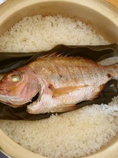 土鍋で鯛めし-レシピのメイン写真