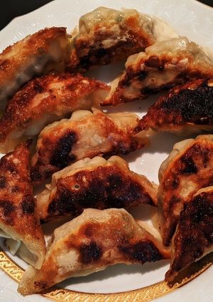 胸鶏肉の野菜たっぷりヘルシー餃子-レシピのメイン写真