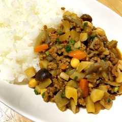 รูปของ コロコロ和風キーマカレー