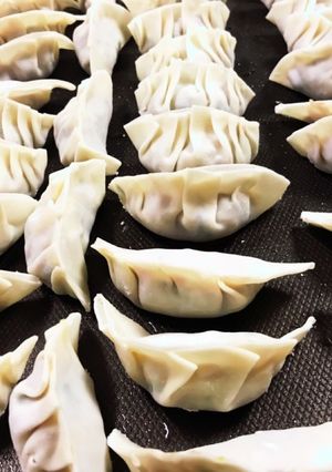 ホットプレートで野菜たっぷり餃子-レシピのメイン写真