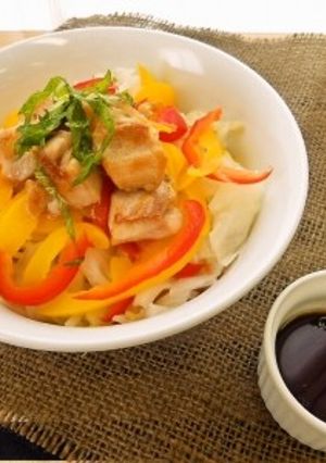 サラダ麺（透析食）-レシピのメイン写真
