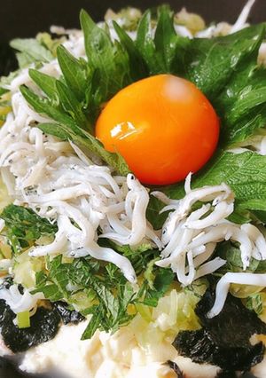 〈ダイエット!〉ネギ塩タレのしらす豆腐丼-レシピのメイン写真