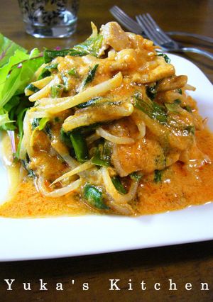 豚肉とニラともやしのレッドカレー炒め-レシピのメイン写真