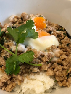 鶏パクチーそぼろ丼-レシピのメイン写真