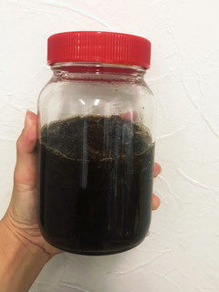 もずくの塩抜き&もずく酢-レシピのメイン写真