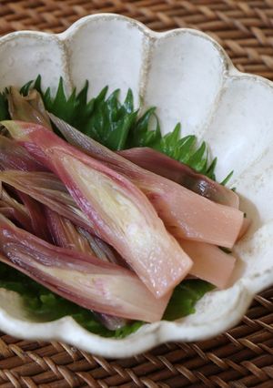 レンチンで簡単！ミョウガの甘酢漬け-レシピのメイン写真