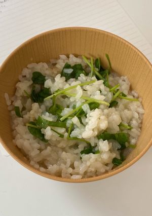 豆苗の雑炊　レンジで！簡単！-レシピのメイン写真