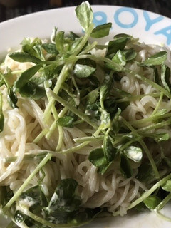 ★簡単★貧乏★豆苗のせ素麺★-レシピのメイン写真