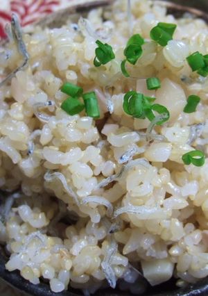 簡単！新生姜とじゃこの健康混ぜご飯☆-レシピのメイン写真