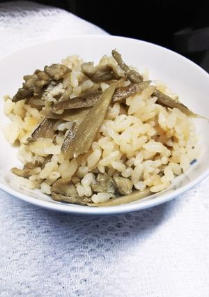 牛蒡と豚肉の炊き込み御飯-レシピのメイン写真