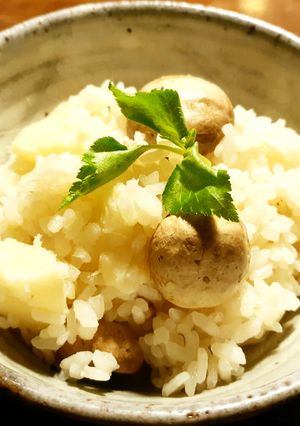 マッシュルームとゆり根のご飯　ガッテン流-レシピのメイン写真