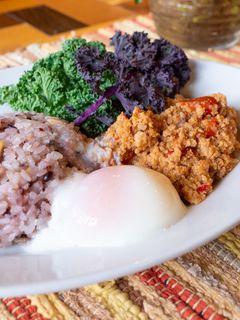 ガパオライス(おうちご飯 冷凍ガパオ)-レシピのメイン写真