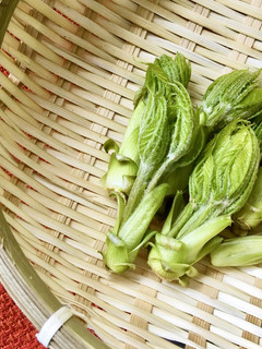 山菜「こしあぶら」の下処理~お浸し-レシピのメイン写真
