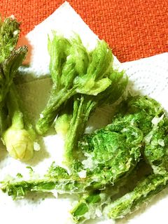 山菜の天ぷら-レシピのメイン写真