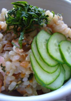 みょうがとしそのさっぱりごまご飯-レシピのメイン写真