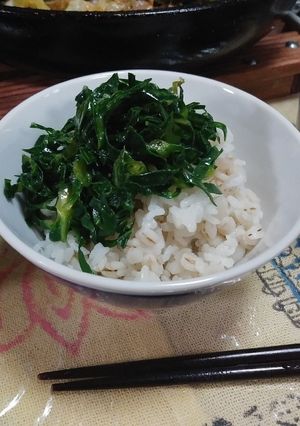 キャベツ千切りナムル(簡単)外葉-レシピのメイン写真