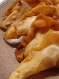 ワンタンの包み揚げ-レシピのメイン写真