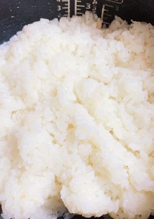 洋ごはん-レシピのメイン写真