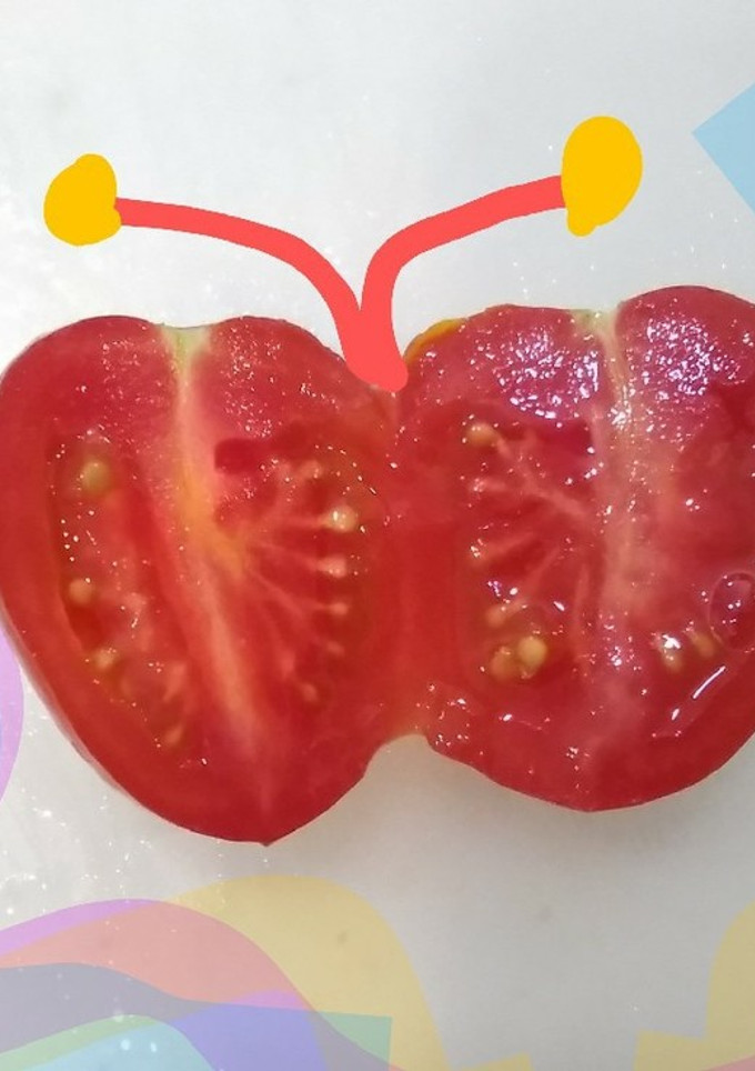 いろいろ使える！ミニトマトの蝶切り-レシピのメイン写真