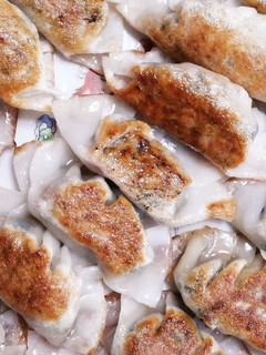 米粉の皮で☆ツナと野菜の餃子-レシピのメイン写真