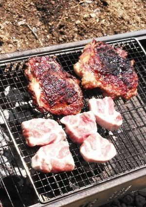 お庭でバーベキュー-レシピのメイン写真