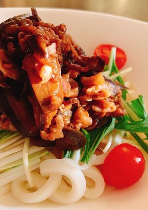 野菜たっぷり茄子と生姜の豚肉味噌うどん-レシピのメイン写真