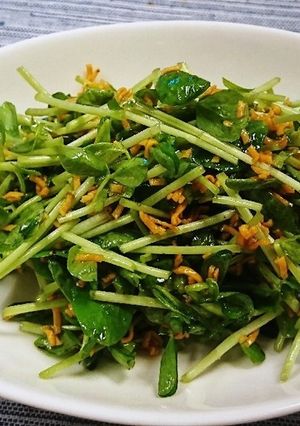 パッと作れる!バリバリ豆苗!-レシピのメイン写真