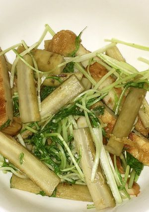 ひら天と新牛蒡と水菜の煮物-レシピのメイン写真