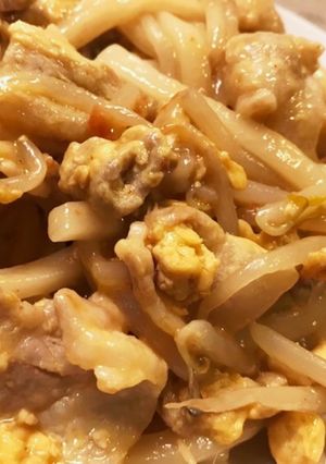 ＊豚バラで坦々風焼きうどん＊。-レシピのメイン写真