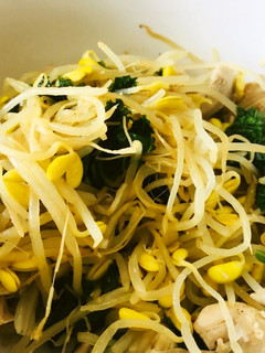 カーリーケールとモヤシと茹で鶏の炒め物-レシピのメイン写真