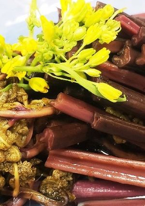 お年寄り絶讚シリーズ❗ぜんまい‼️-レシピのメイン写真