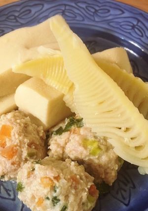 竹の子と高野豆腐の煮物-レシピのメイン写真