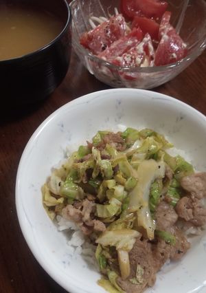 コロナ感染危機乗り切り豚肉丼（コツ付き-レシピのメイン写真