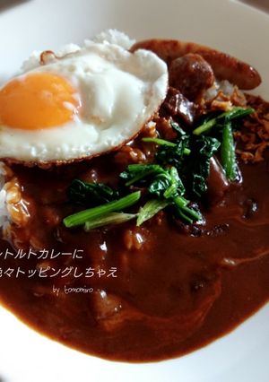 レトルトカレーに色々トッピングしちゃえ-レシピのメイン写真