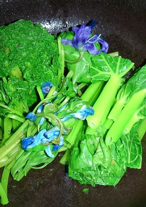 野草のお浸し盛り合わせ-レシピのメイン写真