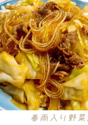 春雨入り野菜炒め-レシピのメイン写真
