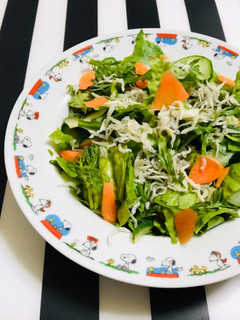 生春菊の消費 サラダ 冷凍ちりめん乗せ-レシピのメイン写真