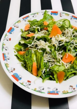 生春菊の消費 サラダ 冷凍ちりめん乗せ-レシピのメイン写真