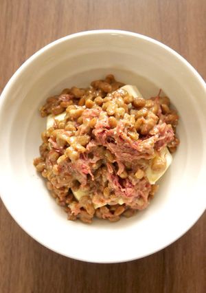 レンチンのみ包丁なし♪ジャーマン納豆豆腐-レシピのメイン写真