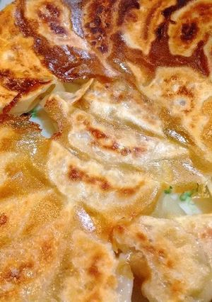 大根たっぷり餃子-レシピのメイン写真
